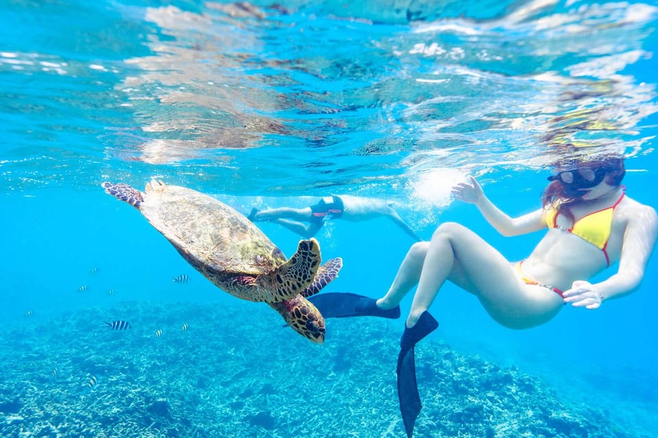 Snorkeling in crystal-clear waters at Coco Island